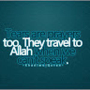 Meet your Posher, Javaria